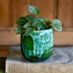 Pisa Emerald Planter | 7cm Pots | Baby Plant Pots | Ceramic Plot -Plant Sale Store 019F8EDD 99B7 48A1 89D1 3108C9CFC87A 1 201 a