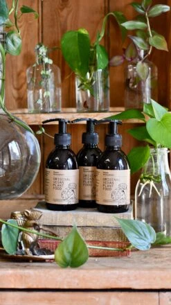 Original Vegan Plant Food 250ml (Houseplant Organic Fertiliser) -Plant Sale Store 099BB6A5 1992 446B 91A7 40A7A2B508A9 1 201 a