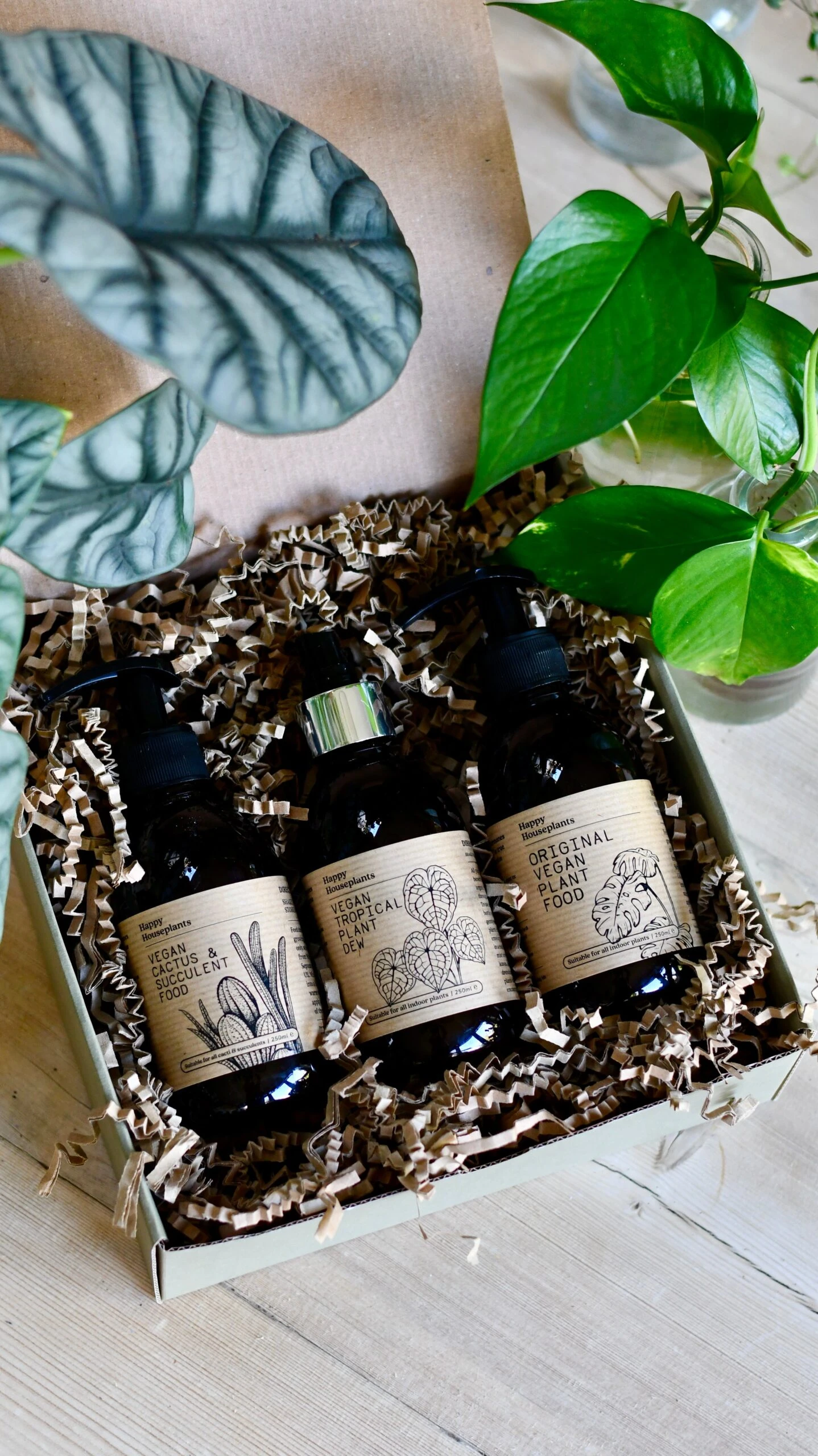 Liquid Vegan Plant Food, Organic Tropical Dew Spray And Cactus Fertiliser Gift Set 3 Liquid Vegan Plant Food, Organic Tropical Dew Spray And Cactus Fertiliser Gift Set - Image 3