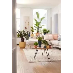 Vibes Fold Round 25cm 1 Vibes Fold Round 25cm