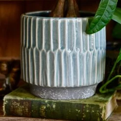 Premium Plant Pot | Onno Denim Ceramic Glaze Planter | 16cm Plant Pot 9 Premium Plant Pot | Onno Denim Ceramic Glaze Planter | 16cm Plant Pot -Plant Sale Store 28AE5E15 3523 4602 8638 34C3BB75046B 1 201 a