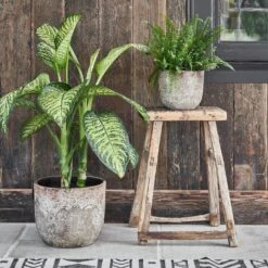 Albero Planter (14cm Pot)