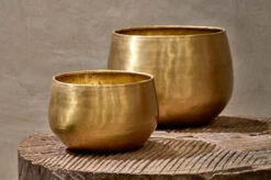 Atsu Brass Planter - Small -Plant Sale Store 4C674449 E84C 4F77 8257 43FF2D882A5F