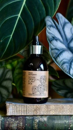 Tropical Plant Dew Spray 250ml (Indoor Plant Mist, Plant Care Mist) -Plant Sale Store 58736B0F 3A6C 4619 AB74 323ECF53E672 1 201 a