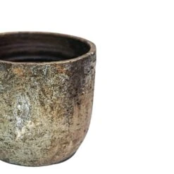 Albero Planter (21cm Pot) -Plant Sale Store 5 82441c17 0cf1 4191 be89 846e7aa714c9