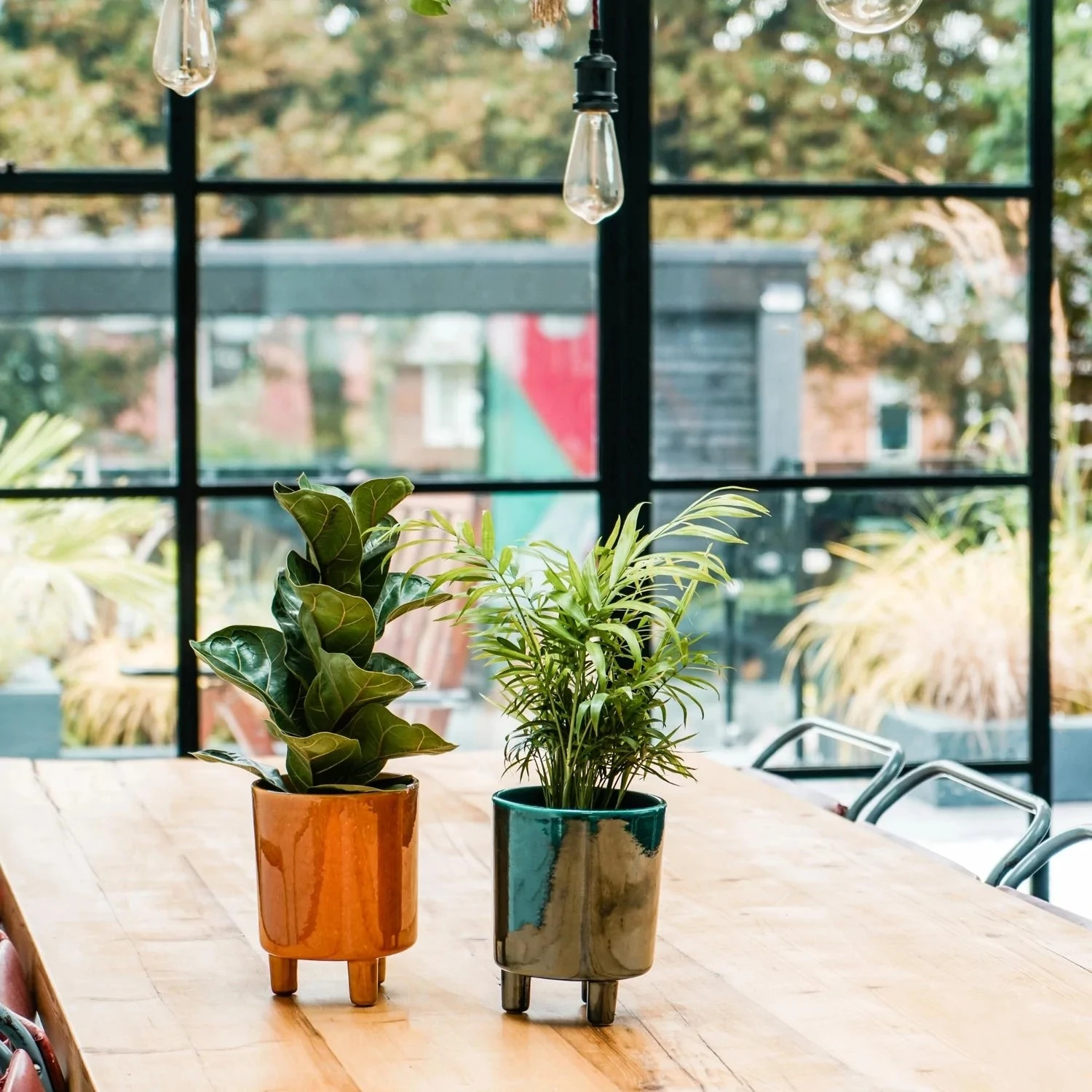 Pisa Emerald Planter | 16cm Pots | Designer Pots 3 Pisa Emerald Planter | 16cm Pots | Designer Pots - Image 3