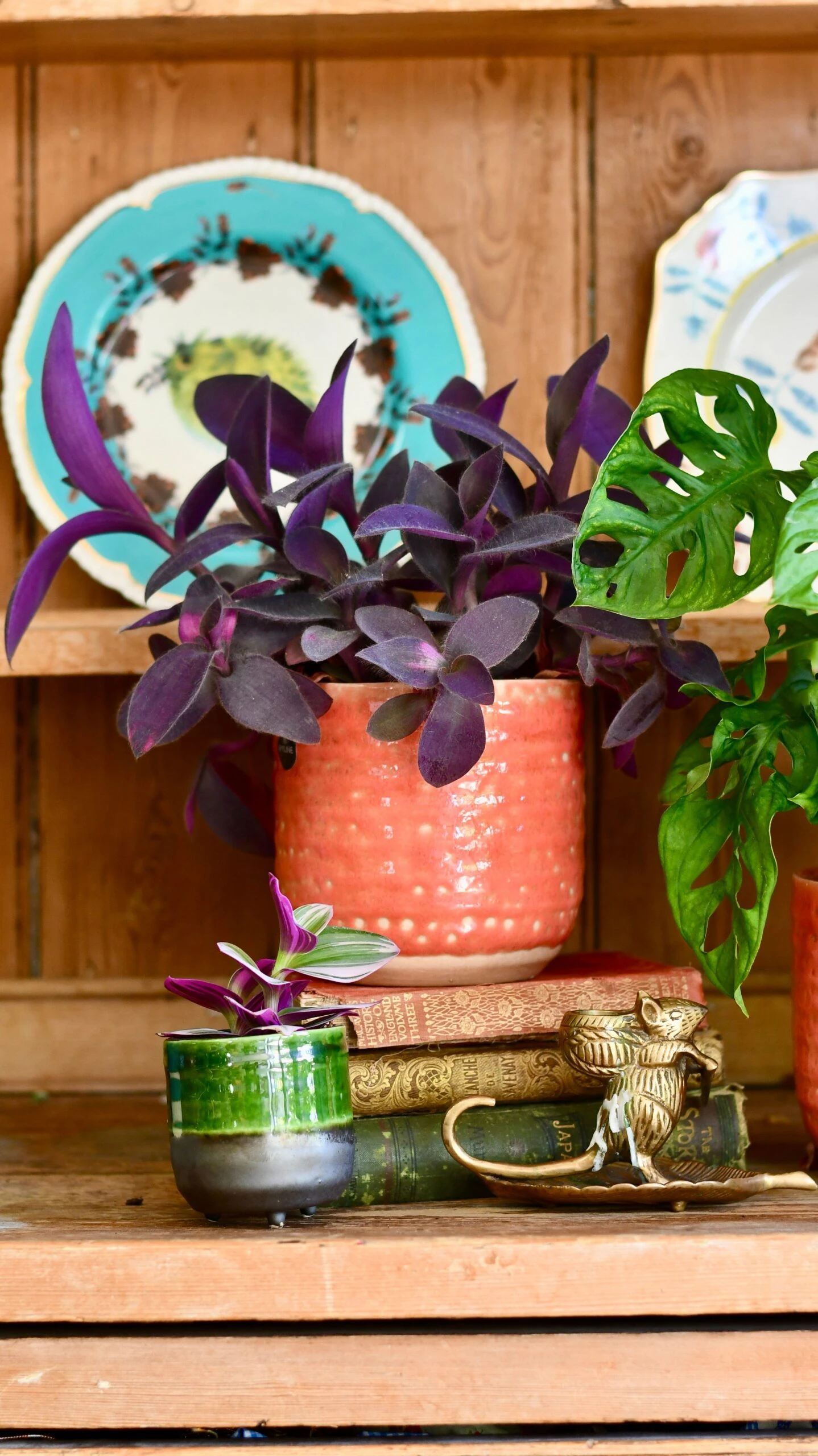 Titan Reactive Planter (13cm Plant Pot) 5 Titan Reactive Planter (13cm Plant Pot) - Image 5