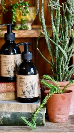 Plant Sale Store -Plant Sale Store 84976006 ED75 4BB4 97E5 54F6F4CCC362 1 201 a