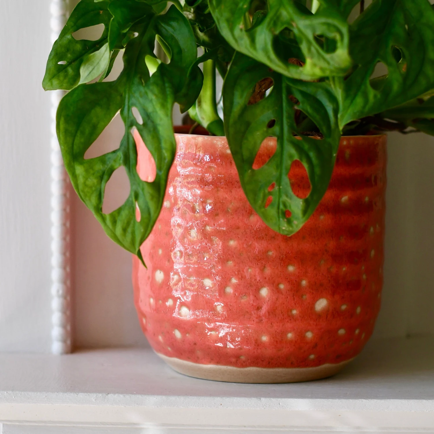 Titan Reactive Planter (13cm Plant Pot) 2 Titan Reactive Planter (13cm Plant Pot) - Image 2