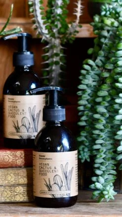 Vegan Cactus & Succulent Food Gift Box -Plant Sale Store 8B3F5609 6921 488F BA1D 1AAA5FC00222 1 201 a 2f7ab8b9 2a5a 46b9 8414 4745c2aa6856