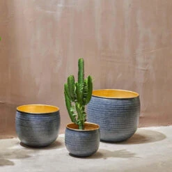 Tembesi Etched Planter - Black & Brass Medium 8 Tembesi Etched Planter - Black & Brass Medium -Plant Sale Store 98bb8d 0560c932647a48b096982b7b3cb20329 mv2 0ae856e1 ada3 42fd ad83 95ff555e92fb