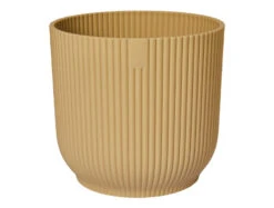 Oxalis Triangularis 'Purple Shamrock’ & Vibes Pot 22 Oxalis Triangularis 'Purple Shamrock’ & Vibes Pot -Plant Sale Store 98bb8d 08c88943a6f0491b8f5f4d964ddb1011 mv2 3