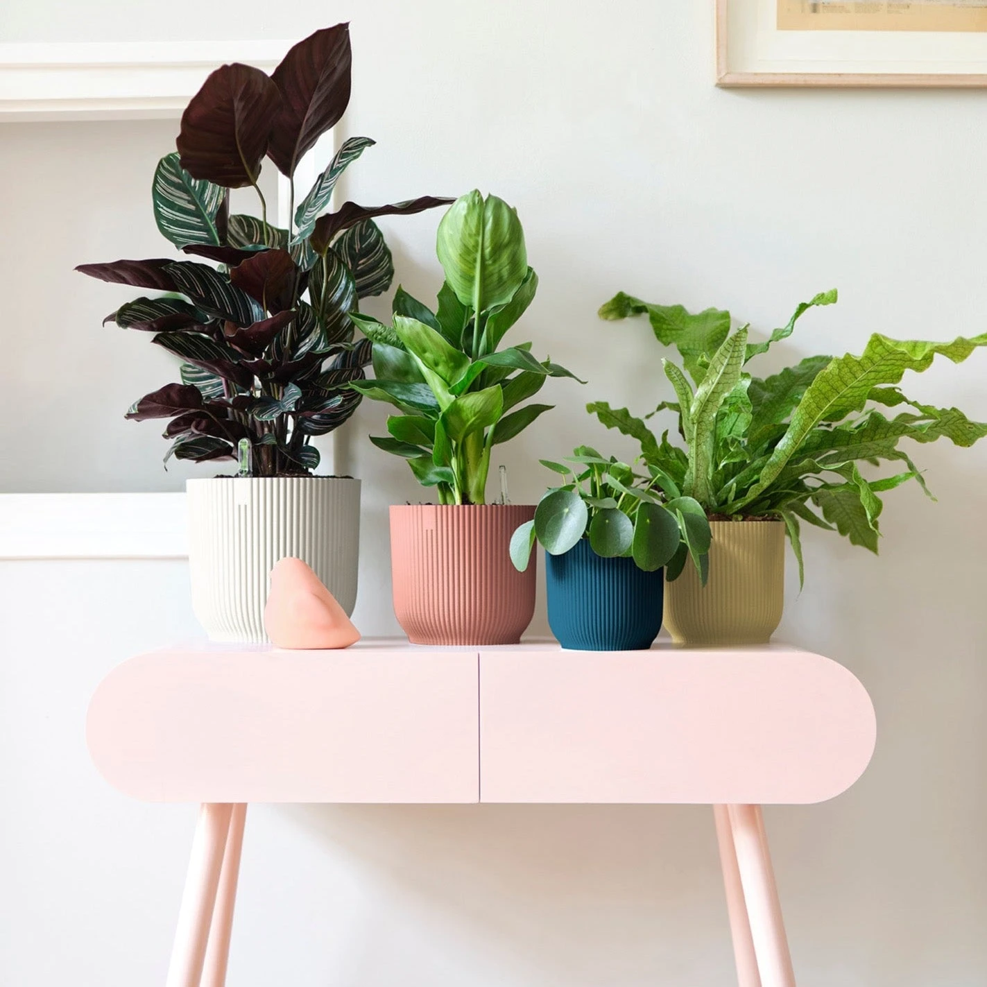 Vibes Fold Round 18cm 1 Vibes Fold Round 18cm