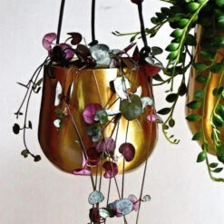 Atsu Brass Hanging Planter 10cm Wide -Plant Sale Store 98bb8d 12c7b346cb3d483b8cf89d78990bc909 mv2