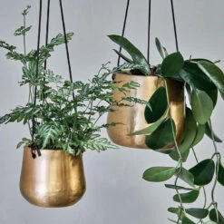 Atsu Brass Hanging Planter 10cm Wide -Plant Sale Store 98bb8d 1377316a11844bf683a7b5323340ce76 mv2