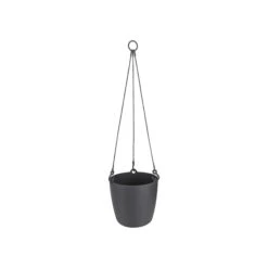Brussels Hanging Basket 18cm -Plant Sale Store 98bb8d 19cc206127964db58ee23b183a44dc10 mv2
