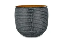 Sansevieria Trifasciata Zeylanica And Black Etched Planter 5 Sansevieria Trifasciata Zeylanica And Black Etched Planter -Plant Sale Store 98bb8d 1c07e5ce745a4f64a51253fec8b77a8e mv2 6fed9705 09df 44a9 b5ec 1040674d7e03