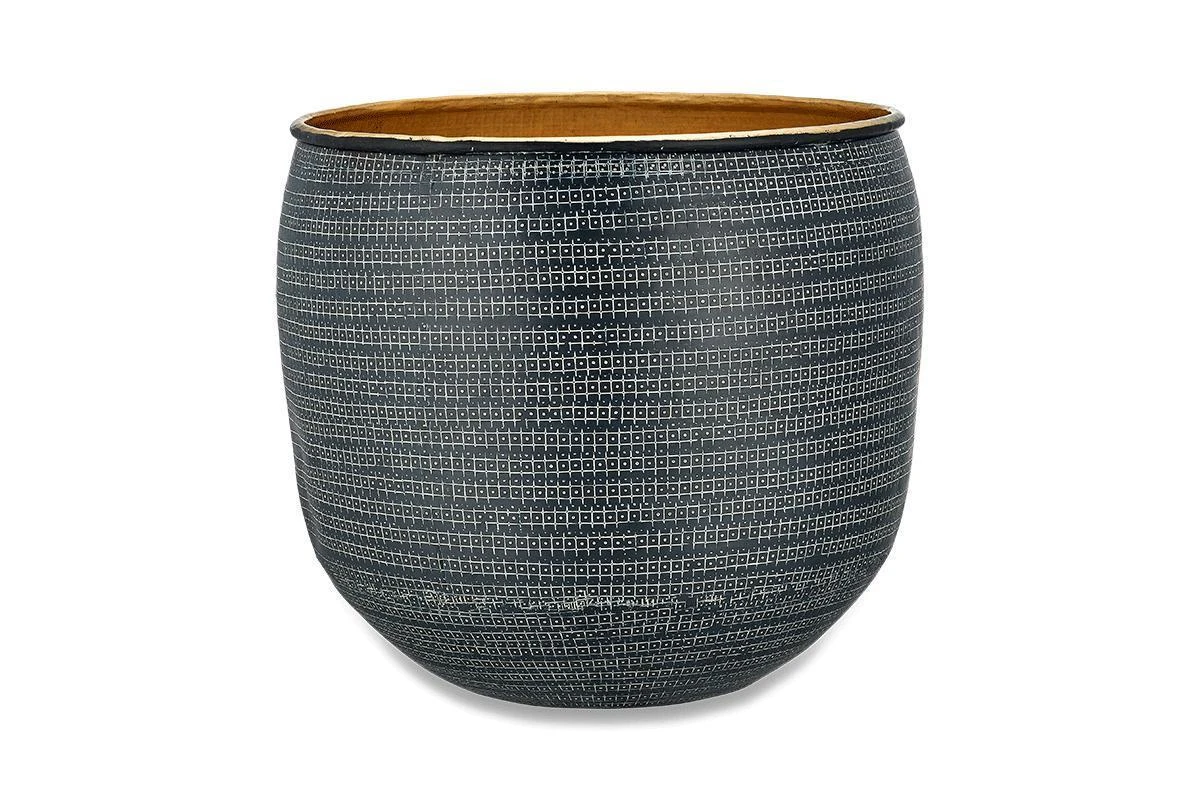 Sansevieria Trifasciata Zeylanica And Black Etched Planter 3 Sansevieria Trifasciata Zeylanica And Black Etched Planter - Image 3