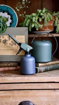 Soft Water Sprayer For Houseplants -Plant Sale Store 98bb8d 2d257cea632a4c309741a7e5144fd2b0 mv2