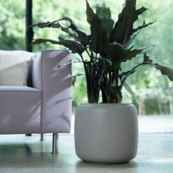 PURE BEADS POT 27cm -Plant Sale Store 98bb8d 306ad0cba3974567bd92bb6cabc76b51 mv2