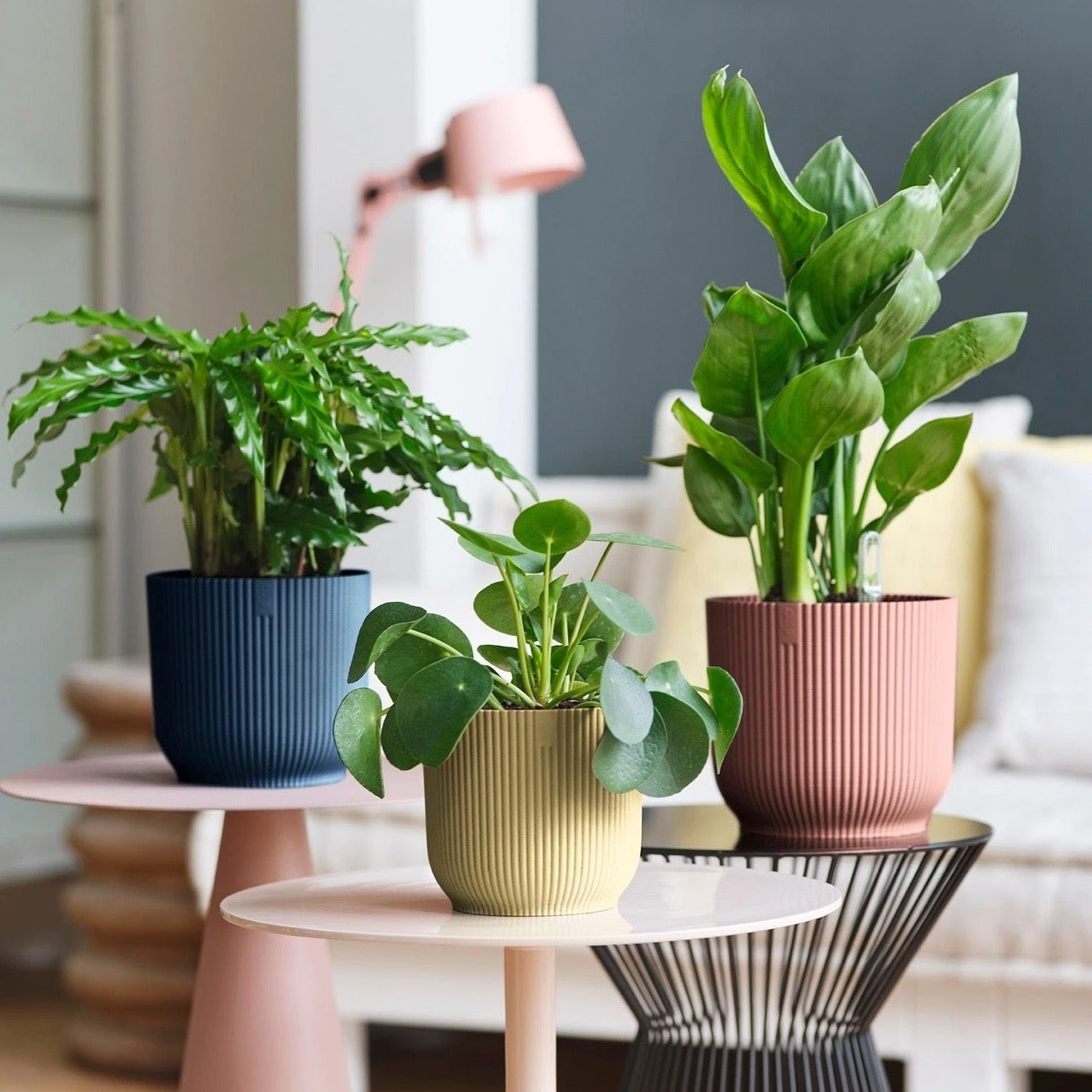 Vibes Fold Round 25cm 2 Vibes Fold Round 25cm - Image 2