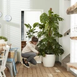 Brussels Round Plant Pot 40cm (Large Indoor Plant Pots) 9 Brussels Round Plant Pot 40cm (Large Indoor Plant Pots) -Plant Sale Store 98bb8d 32f280b7dc3e451cb9e39ac570eec23d mv2 b3146fd9 7f28 457d a47a 24f5a70be60b