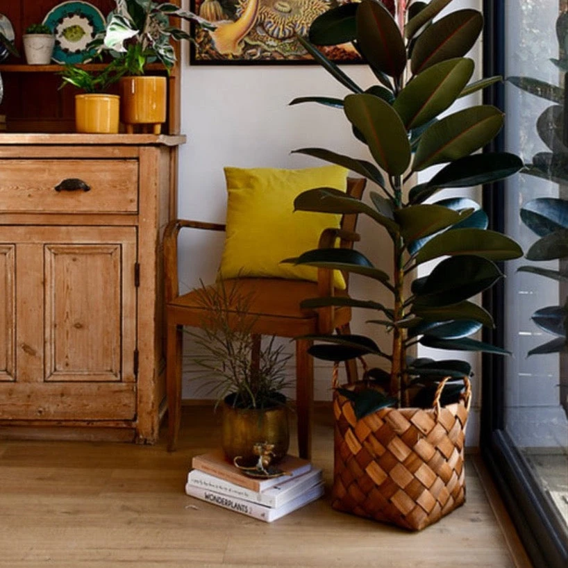 Natural Basket Planter - Brown 30cm 4 Natural Basket Planter - Brown 30cm - Image 4