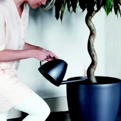 Brussels Round Plant Pot 35cm (large Indoor Plant Pots) -Plant Sale Store 98bb8d 47bb283bfd9e4ae1bd1e29215bb98812 mv2 e2f886a0 30e8 4e16 a305 7d1873fb71cb