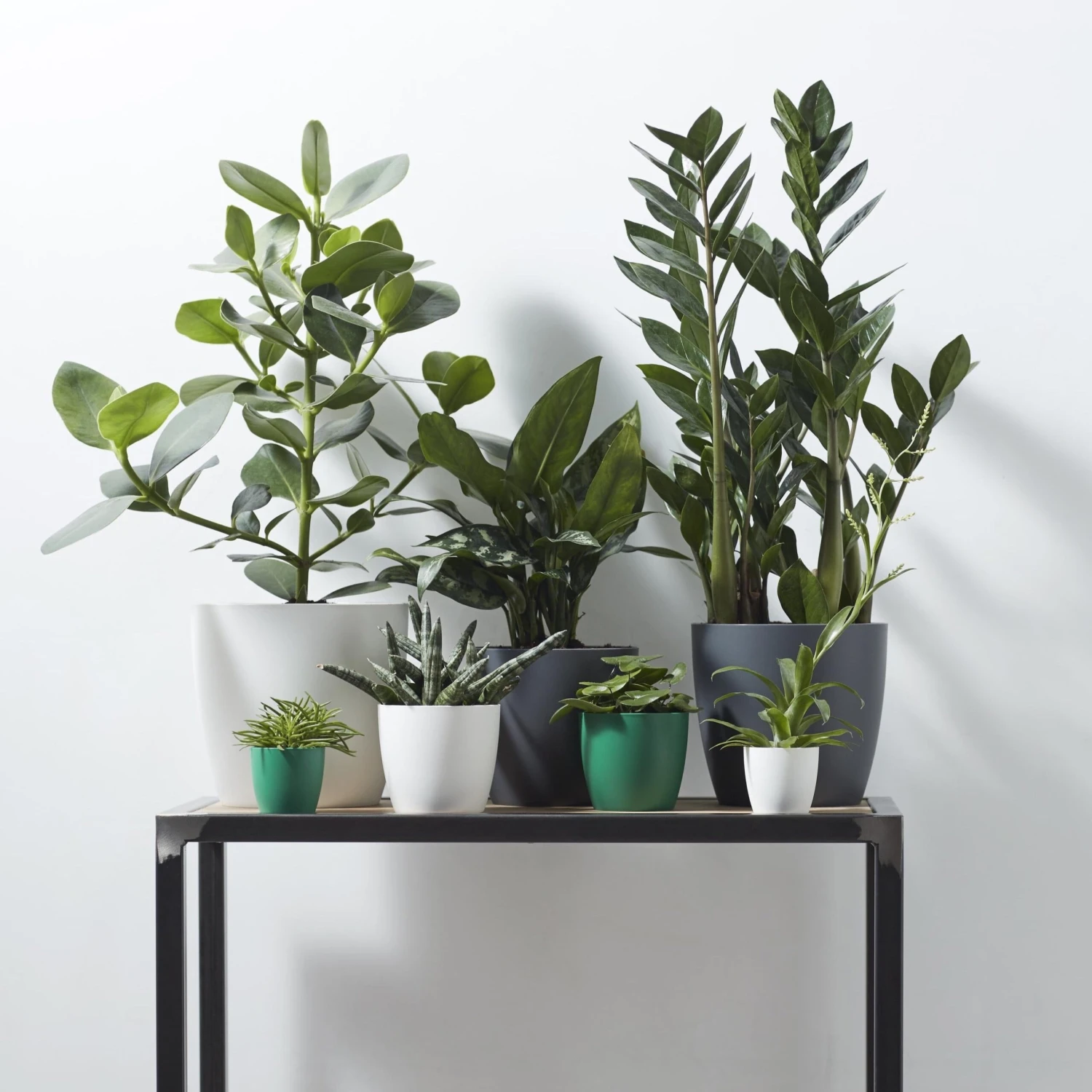 Brussels Round Plant Pot 14cm 8 Brussels Round Plant Pot 14cm - Image 8