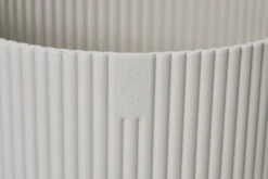 Spathiphyllum Verdi, Peace Lilly 17cm X 70cm -Plant Sale Store 98bb8d 5d26c4e45e894f8faaa829188aa60ac7 mv2 7ec1c155 7392 417b a6e0 eac590aa5b66