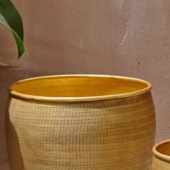Tembesi Etched Planter 18cm Brass 10 Tembesi Etched Planter 18cm Brass -Plant Sale Store 98bb8d 69ebe95031af42669db9492a05d0e176 mv2