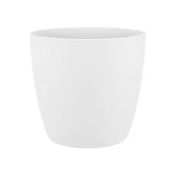 Brussels Round Plant Pot 14cm 12 Brussels Round Plant Pot 14cm -Plant Sale Store 98bb8d 6b8063fdaaf545a1955bfe600233ef65 mv2 0fd03be7 0de5 474f a002 f7ab805a5361