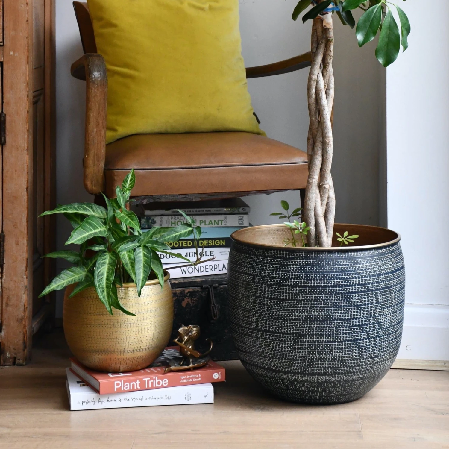 Tembesi Etched Planter - Black & Brass Medium 1 Tembesi Etched Planter - Black & Brass Medium