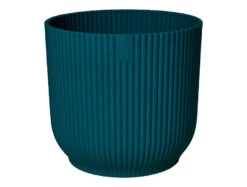 Oxalis Triangularis 'Purple Shamrock’ & Vibes Pot 21 Oxalis Triangularis 'Purple Shamrock’ & Vibes Pot -Plant Sale Store 98bb8d 7456baebbe6642dc89fc235d9a136b0d mv2 2