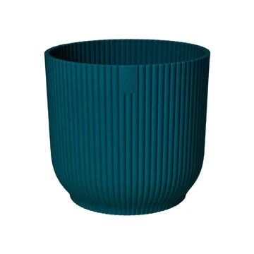 Epipremnum Global Green (Devil's Ivy) & Vibes Pot 9 Epipremnum Global Green (Devil's Ivy) & Vibes Pot - Image 9