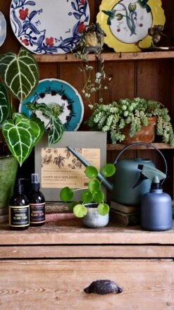 Deluxe Organic Plant Care Set -Plant Sale Store 98bb8d 918622be450c434c977a231d76f979aa mv2