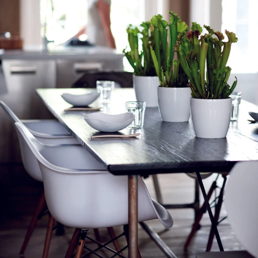 Brussels Round Plant Pot 14cm 7 Brussels Round Plant Pot 14cm - Image 7