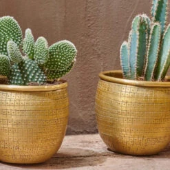 Tembesi Etched Planter Medium Brass -Plant Sale Store 98bb8d ae3e8c9525b0438896f3678e46816bfd mv2 c2ba625e 9f06 416c b5f1 0a28803aa97d