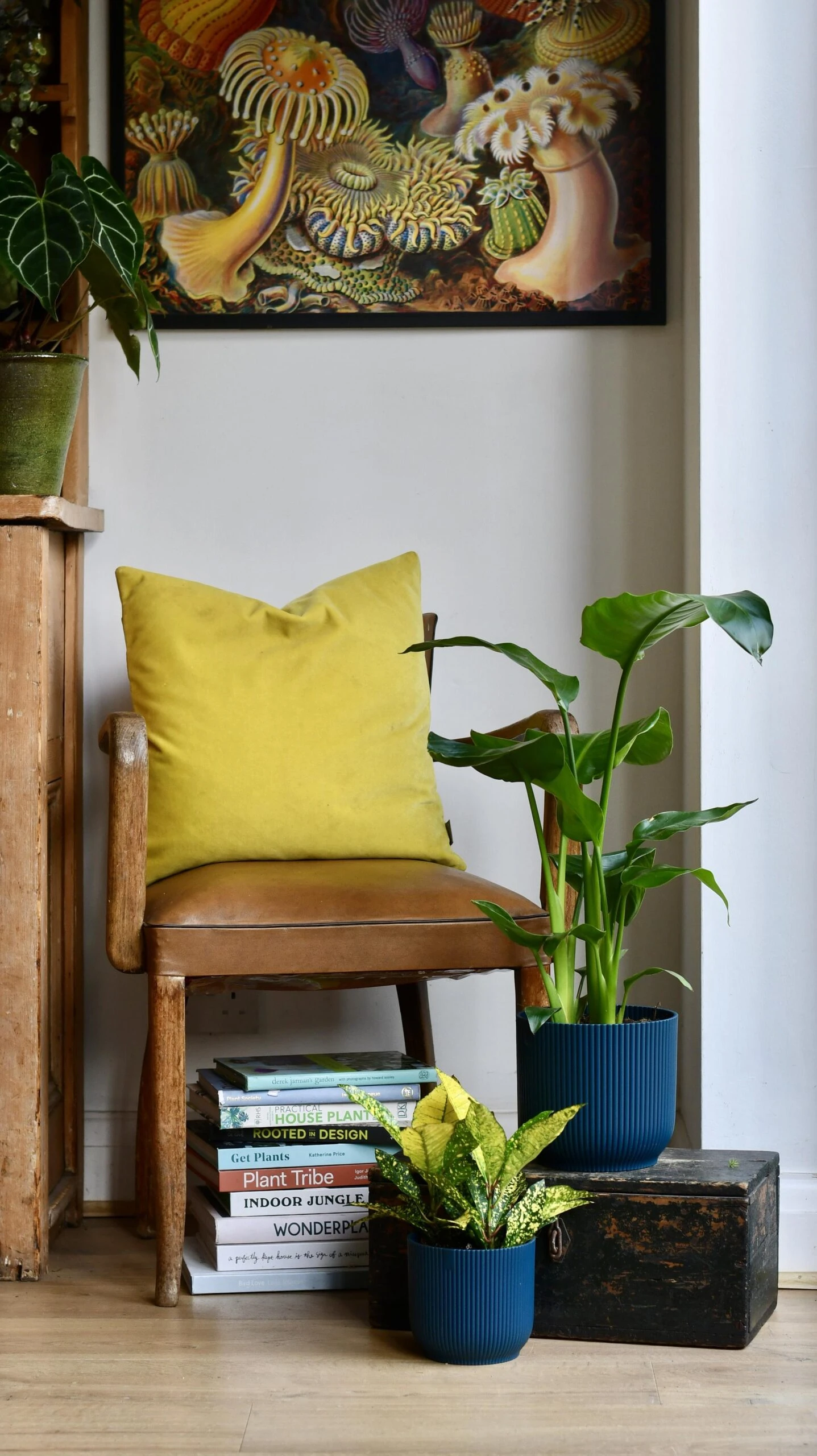 Strelitza Nicolai - White Bird Of Paradise And Vibes Pot 4 Strelitza Nicolai - White Bird Of Paradise And Vibes Pot - Image 4