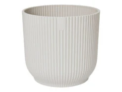 Oxalis Triangularis 'Purple Shamrock’ & Vibes Pot 24 Oxalis Triangularis 'Purple Shamrock’ & Vibes Pot -Plant Sale Store 98bb8d be09b5d8c3f445b4bfe512560255157d mv2 e1852c10 da23 41b4 9aa5 5f4a22a32032