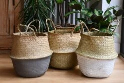 Grey Seagrass Planter -Plant Sale Store 98bb8d c4d8d9f9e0634dc18622571f51e326b6 mv2 d 4272 2848 s 4 2 cd4ea199 691d 47de 8845 1ac883e6cc79