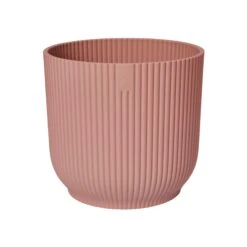 Vibes Fold Round 25cm 19 Vibes Fold Round 25cm -Plant Sale Store 98bb8d ccb3a3431c5543d0a43e5ff77ba31984 mv2 1800x1800 80934ed6 014d 4578 af77 548111b69296