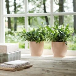 Brussels Round Plant Pot 14cm 13 Brussels Round Plant Pot 14cm -Plant Sale Store 98bb8d dcdf04d735984600ba24b1efa21e58da mv2