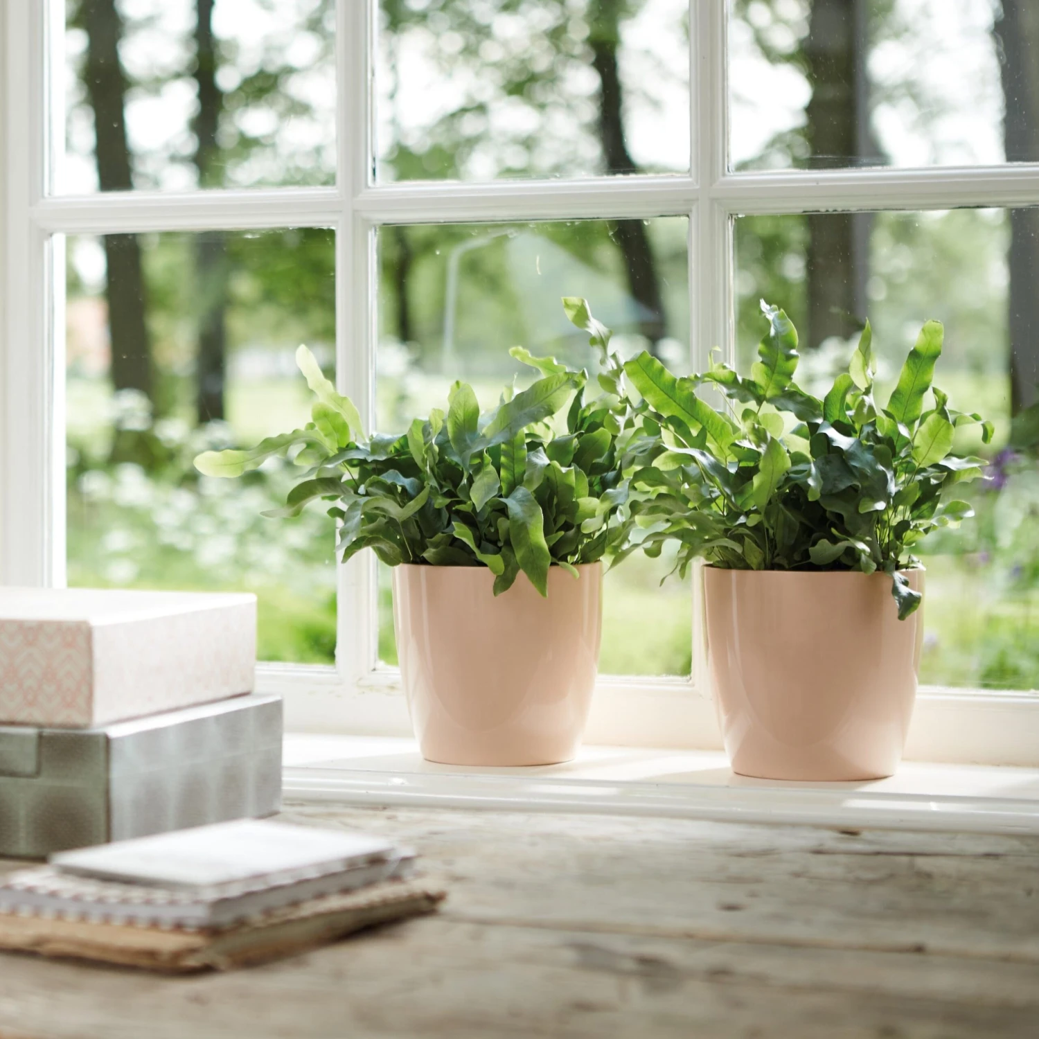 Brussels Round Plant Pot 14cm 5 Brussels Round Plant Pot 14cm - Image 5