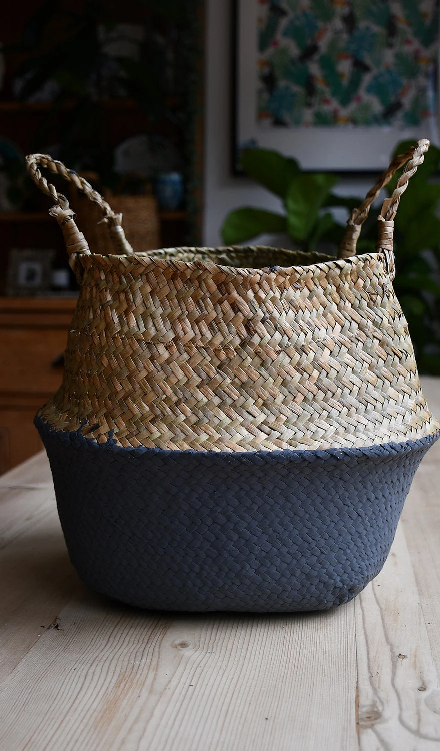 XL Variegated Monstera 6 XL Variegated Monstera - Image 6