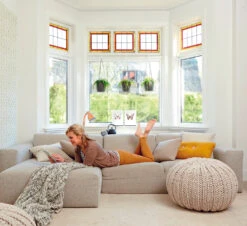 Brussels Hanging Basket 18cm -Plant Sale Store 98bb8d e14131313a4c4668bbb573151bb7e86e mv2