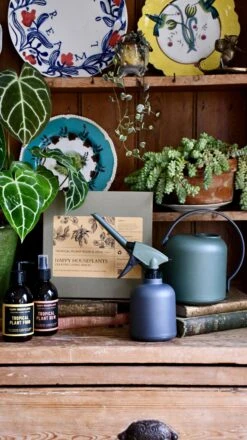 Soft Water Sprayer For Houseplants -Plant Sale Store 98bb8d e17a5163b7094831bd91323195e3fc24 mv2