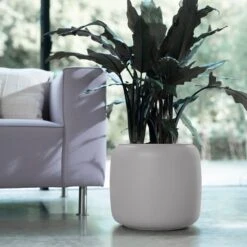 PURE BEADS POT 27cm -Plant Sale Store 98bb8d f4d82b180eb143c780ea3df3d56c4f4a mv2