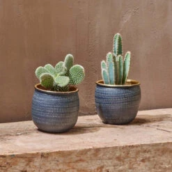 Tembesi Etched Planter - Black & Brass Medium 9 Tembesi Etched Planter - Black & Brass Medium -Plant Sale Store 98bb8d fff6ef6841004c16bce1abad0ebd4f47 mv2 84c046fb 3cbd 400b bd49 f91ce5acd02f