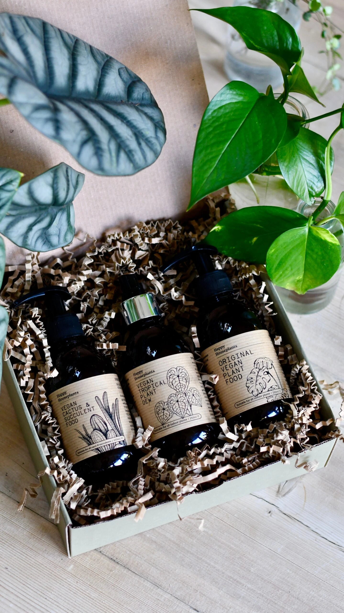 Liquid Vegan Plant Food, Organic Tropical Dew Spray And Cactus Fertiliser Gift Set 1 Liquid Vegan Plant Food, Organic Tropical Dew Spray And Cactus Fertiliser Gift Set